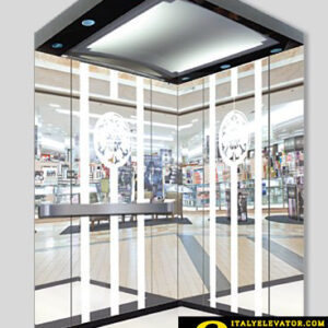 CABIN THANG MÁY INOX GƯƠNG HOA VĂN 4