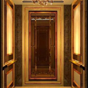 CABIN THANG MÁY INOX MÀU HOA VĂN 1