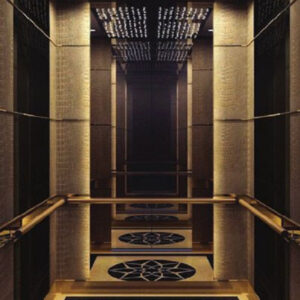 CABIN THANG MÁY INOX MÀU HOA VĂN 4