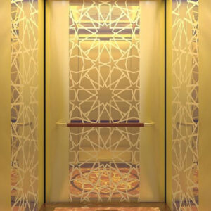 CABIN THANG MÁY INOX MÀU HOA VĂN 5