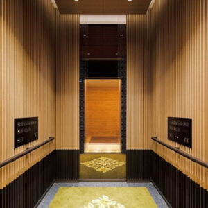 CABIN THANG MÁY INOX MÀU HOA VĂN 6