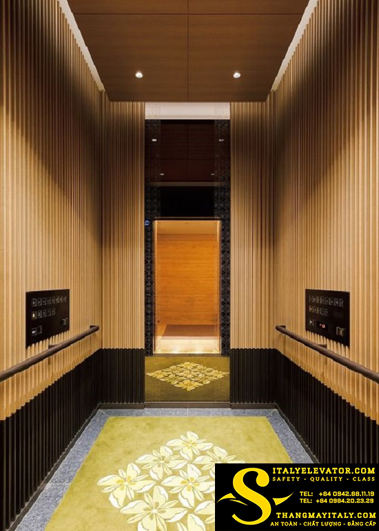 CABIN THANG MÁY INOX MÀU HOA VĂN 6