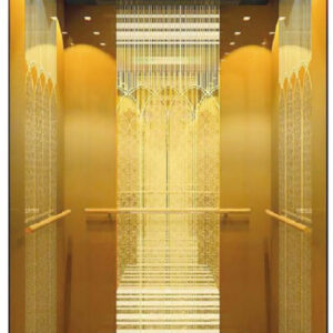 CABIN THANG MÁY INOX MÀU HOA VĂN 8